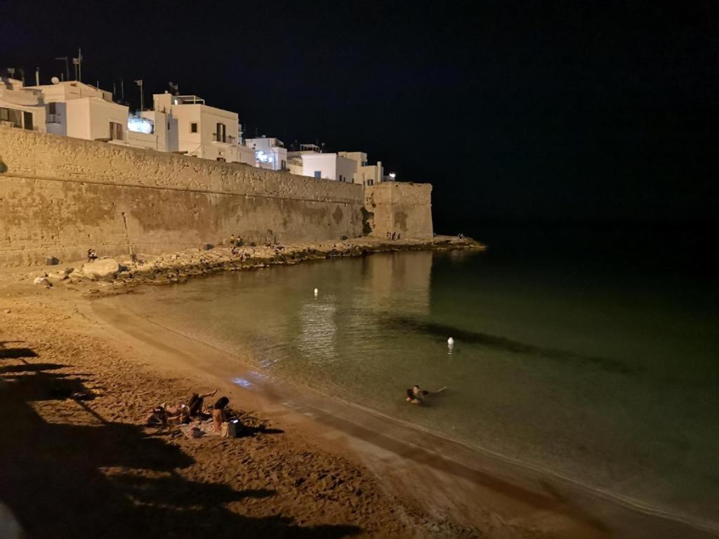 Appartamento Palazzo Antonelli 모노폴리 외부 사진